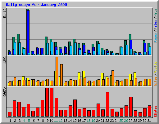 Daily usage for January 2025