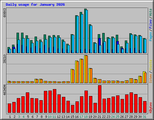 Daily usage for January 2026