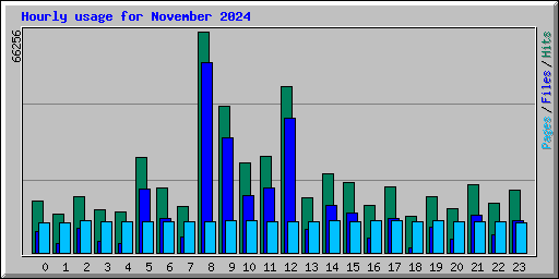 Hourly usage for November 2024