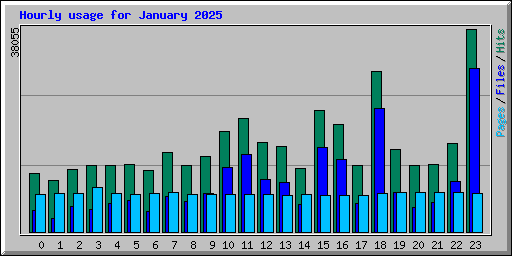 Hourly usage for January 2025