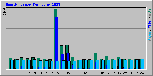 Hourly usage for June 2025