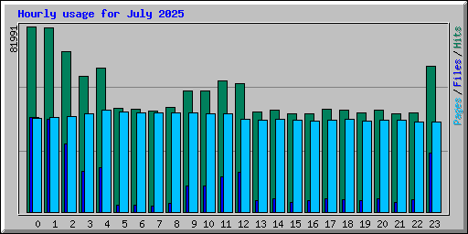 Hourly usage for July 2025