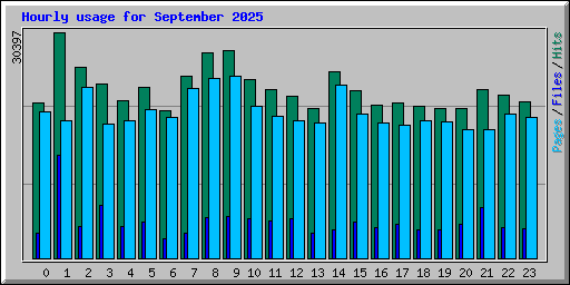 Hourly usage for September 2025