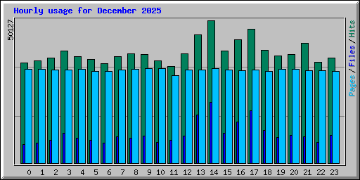Hourly usage for December 2025