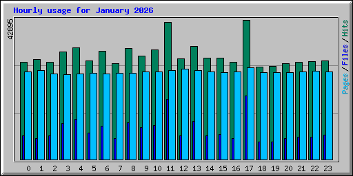 Hourly usage for January 2026