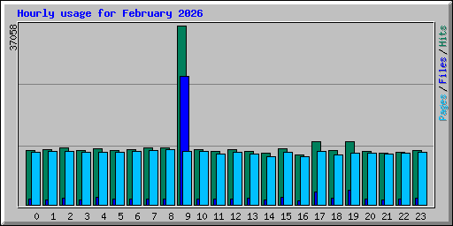 Hourly usage for February 2026
